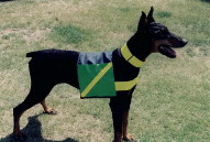 "Lady" modeling a vest